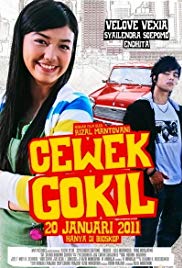 Cewek gokil (2011)