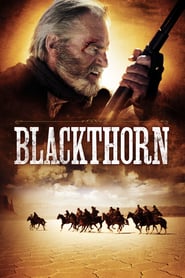 Blackthorn (2011)