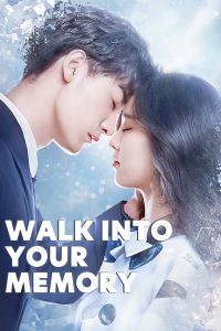 Walk Into Your Memory (2019)