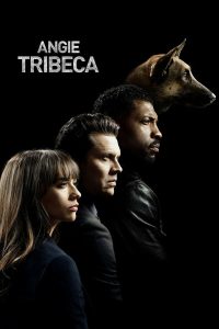 Angie Tribeca – Season 1 (2016)