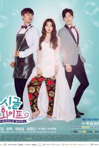 Single Wife (2017)