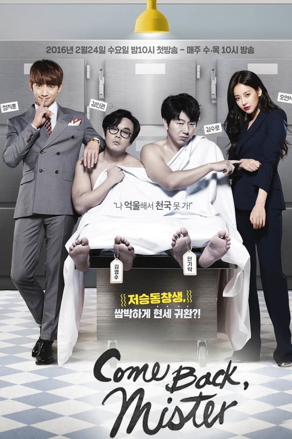 Please Come Back, Mister (2016)